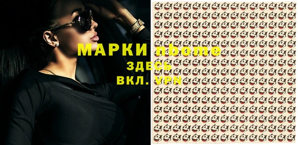 трава Белокуриха