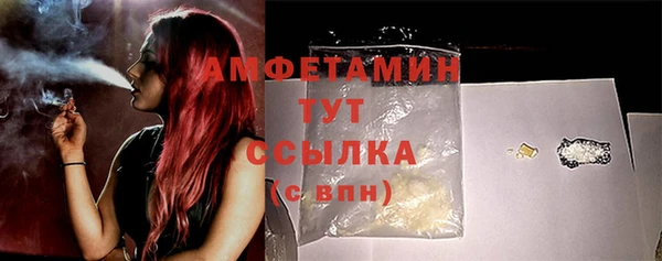 трава Белокуриха