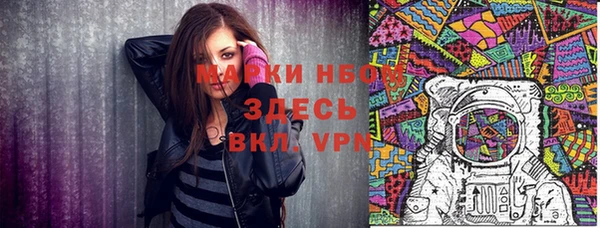 трава Белокуриха