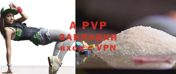 трава Белокуриха
